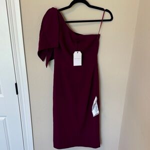 NWT Elegant Magenta One-Shoulder Dress